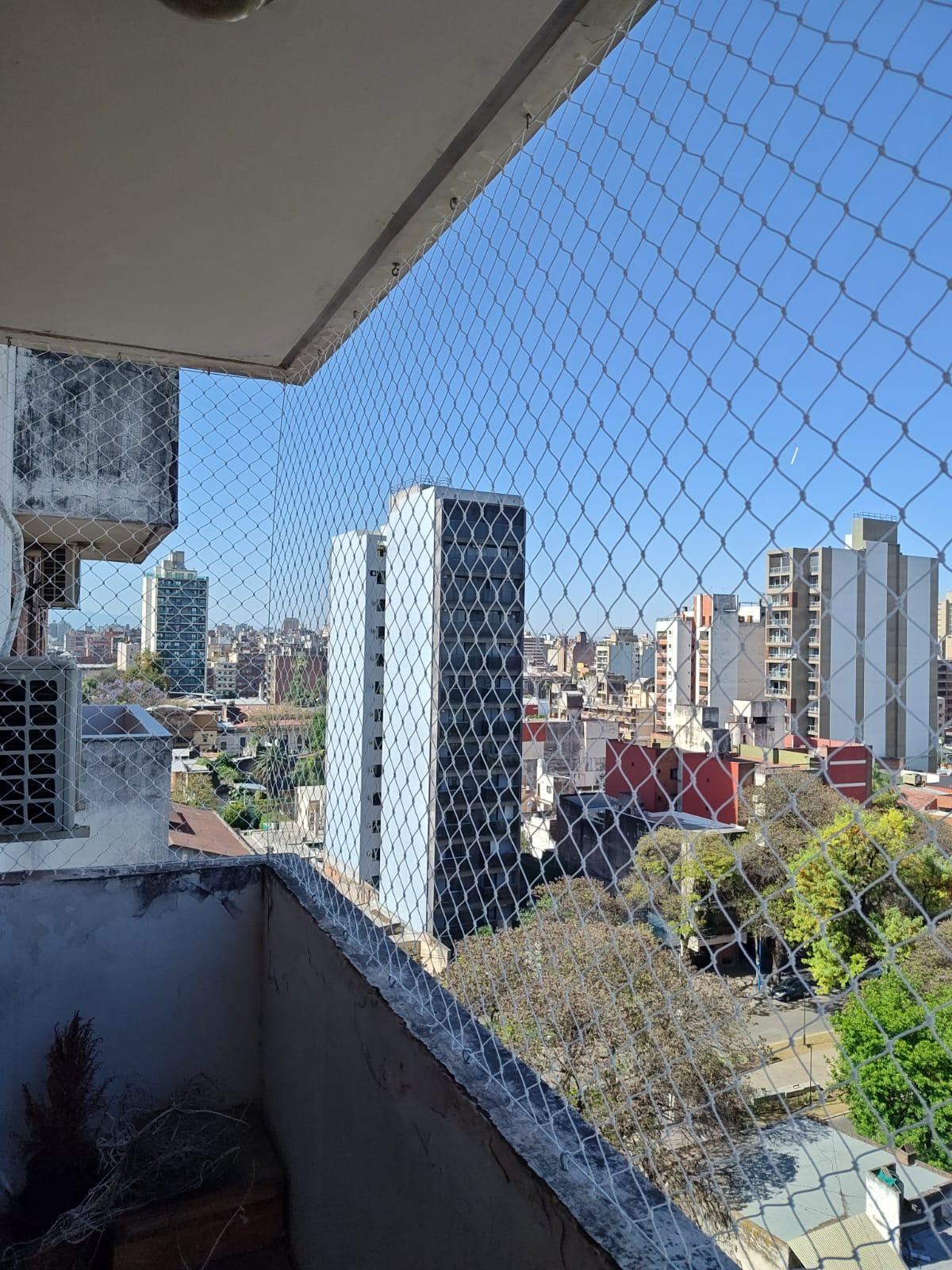 Trabajo 37