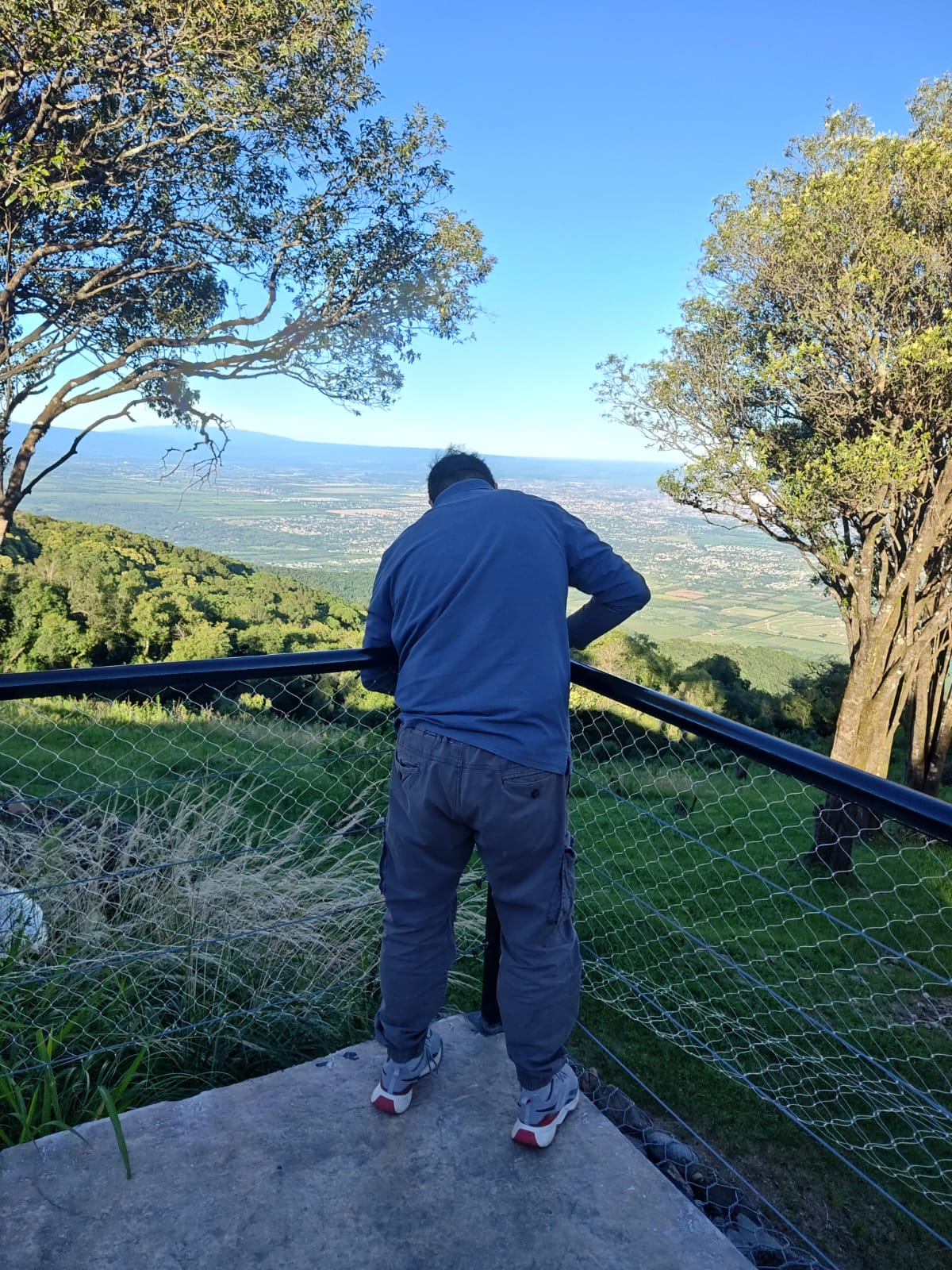 Trabajo 2